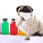 【超初心者向け】エーザイの株価は今後どうなる？買い時は？