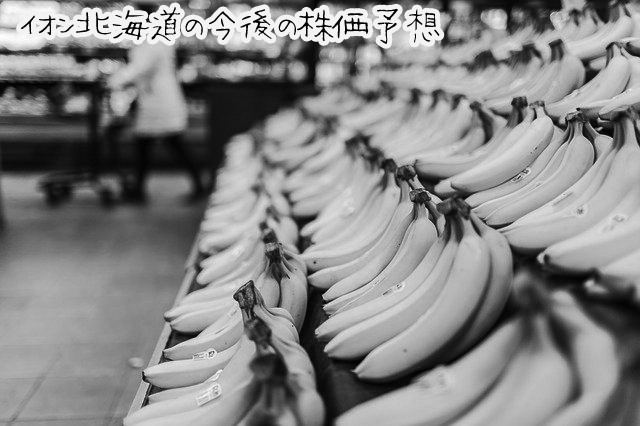 【超初心者向け】イオン北海道の株の購入の仕方と株主優待について