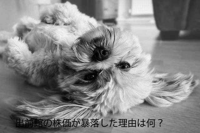 【超初心者向け】出前館(旧:夢の街創造委員会)の株価は今後どうなる!?
