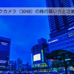 【超初心者向け】ビックカメラ(3048)の株の買い方と注意点|優待・配当金情報も紹介