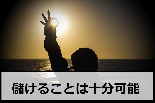 儲けることは十分に可能